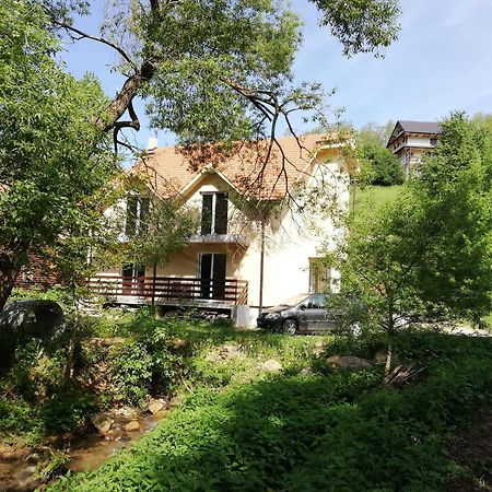 Vila Vrh Crni Vrh Extérieur photo