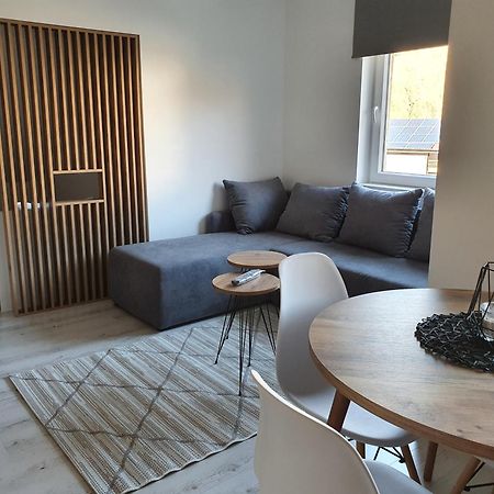 Vila Vrh Crni Vrh Chambre photo