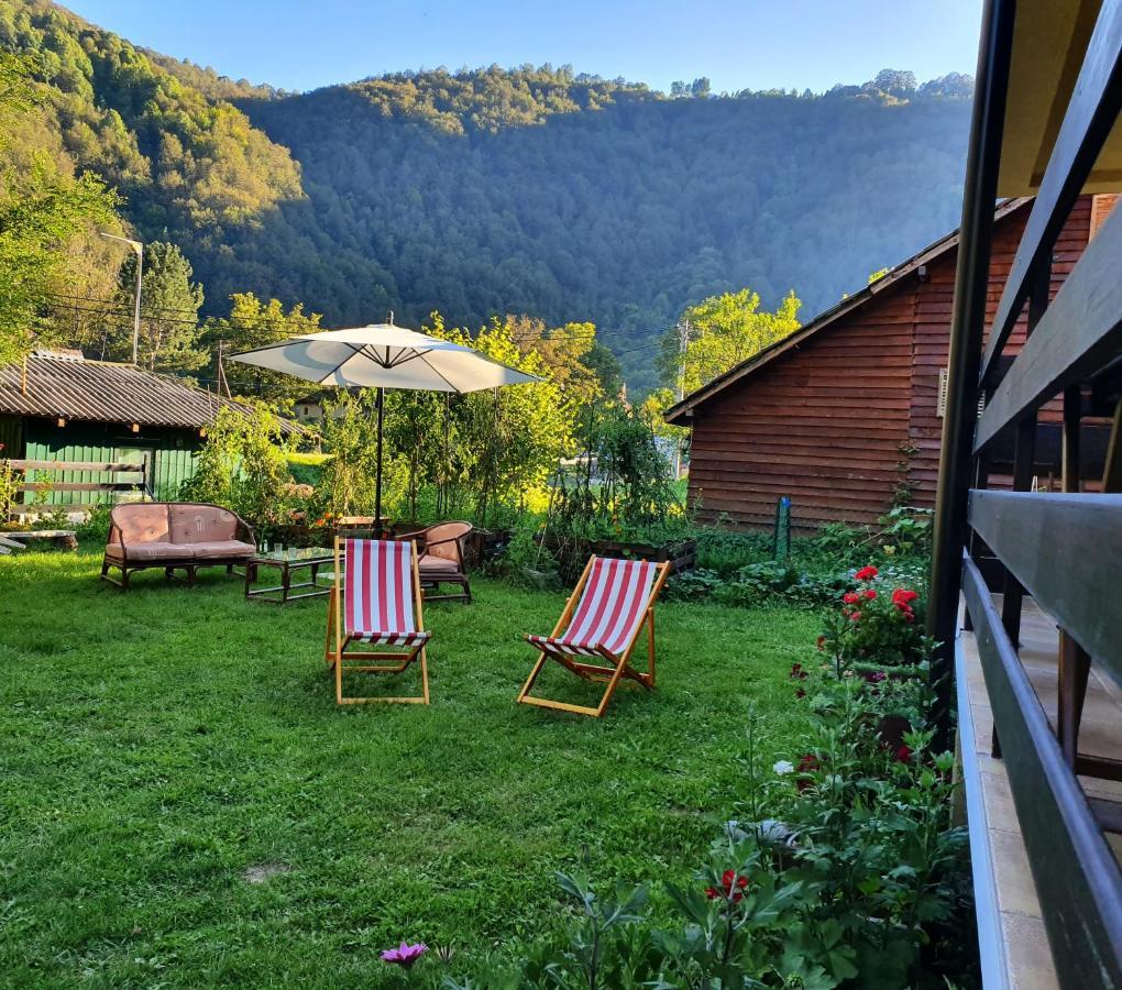 Vila Vrh Crni Vrh Extérieur photo