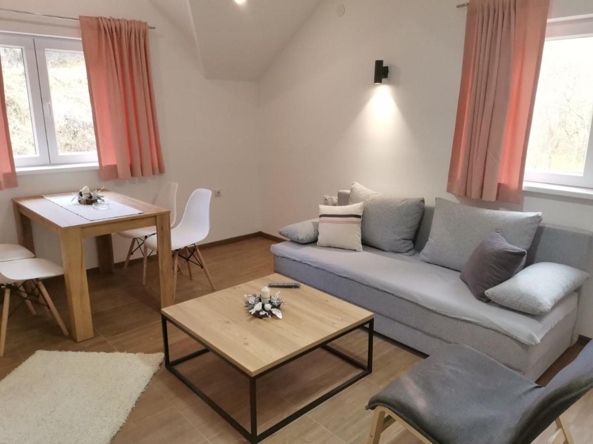 Vila Vrh Crni Vrh Extérieur photo