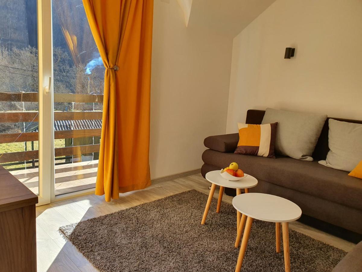 Vila Vrh Crni Vrh Extérieur photo