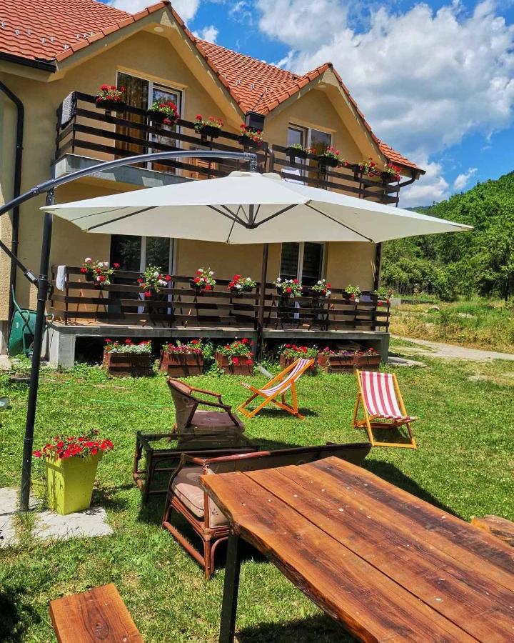 Vila Vrh Crni Vrh Extérieur photo