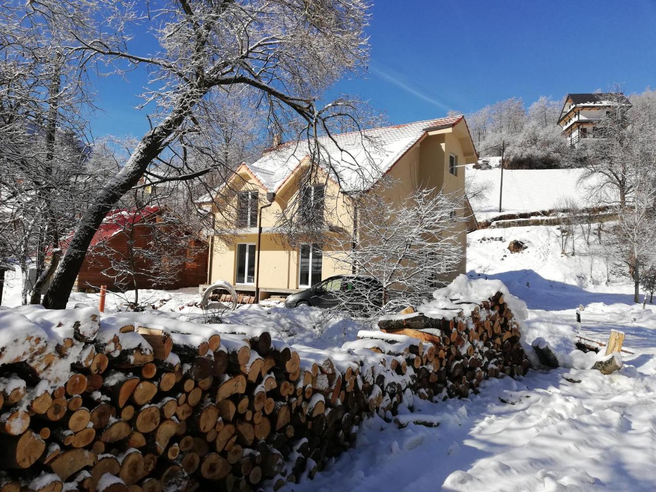 Vila Vrh Crni Vrh Extérieur photo