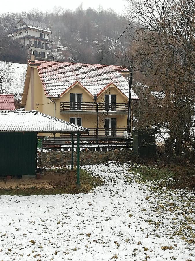 Vila Vrh Crni Vrh Extérieur photo